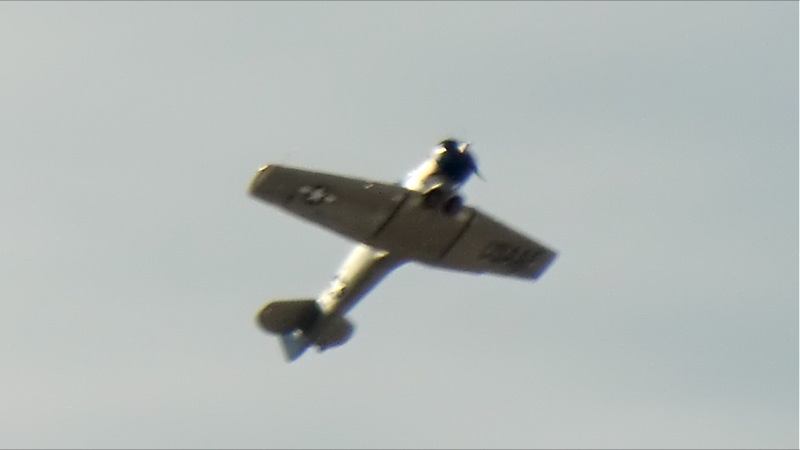 CIMG0034.JPG