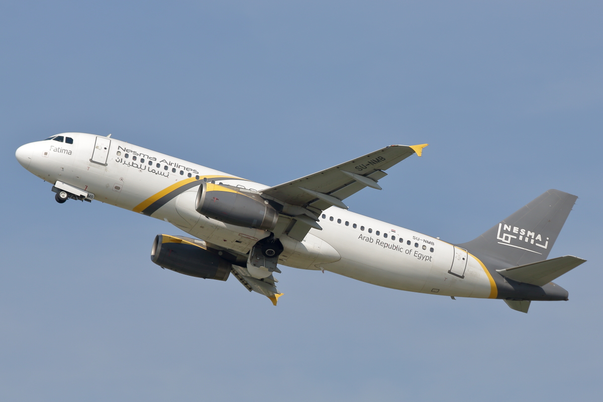 SU-NMB_Nesma Airlines_A320-232.JPG