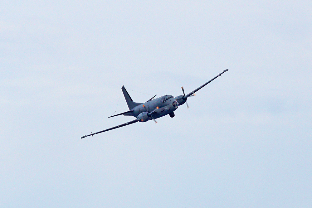 _DSC3095_000.jpg