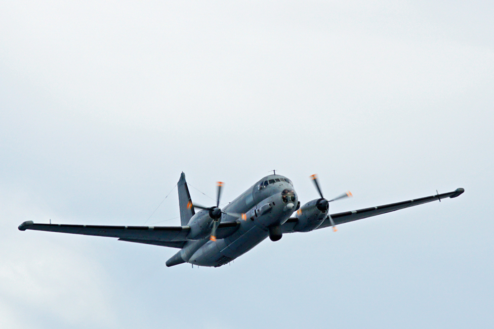 _DSC3100_000.jpg