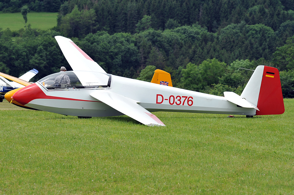 D-0376 Scheibe Bergpfau 4