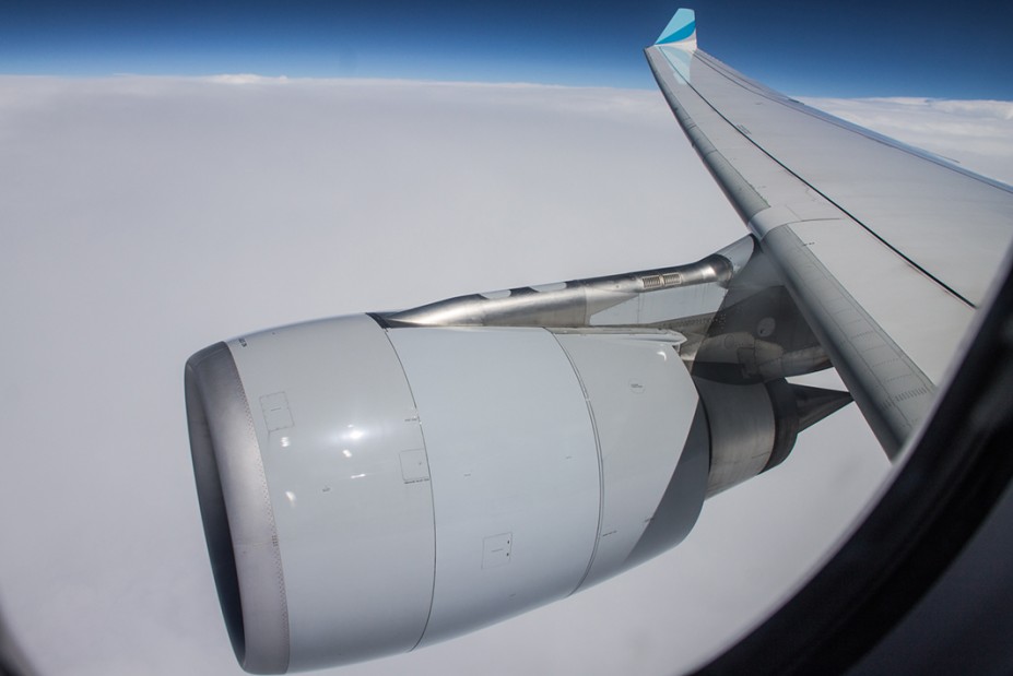 wingview.jpg