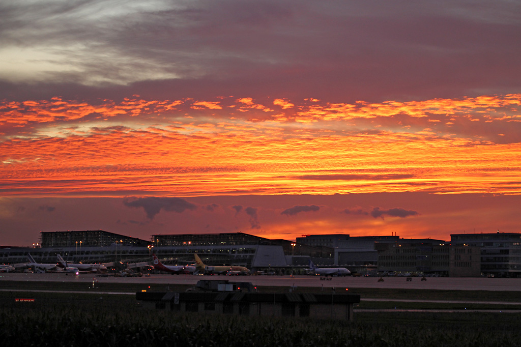 IMG_3254 forum scharf.jpg