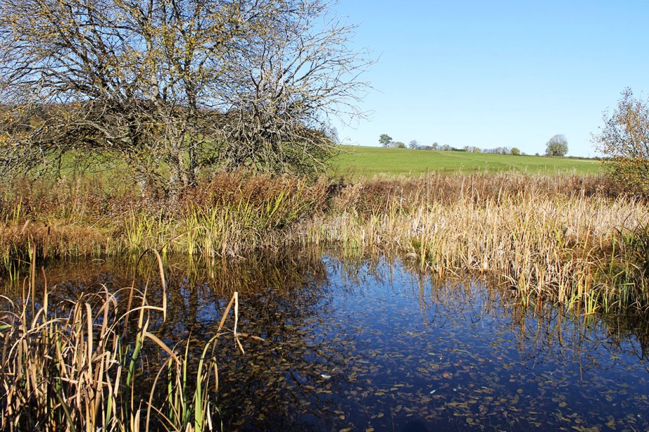 4.jpg (1.29 MiB) 6866 mal betrachtet 4.jpg