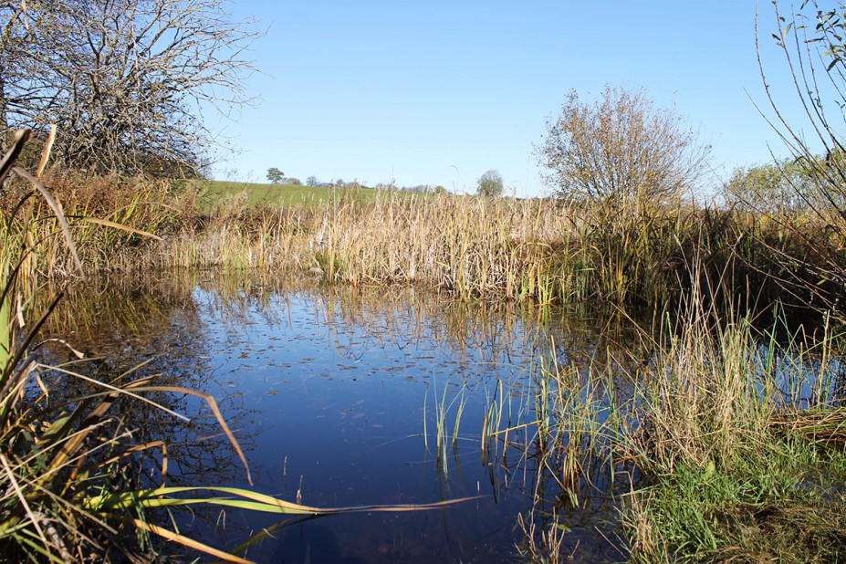 5.jpg (1.13 MiB) 6862 mal betrachtet 5.jpg