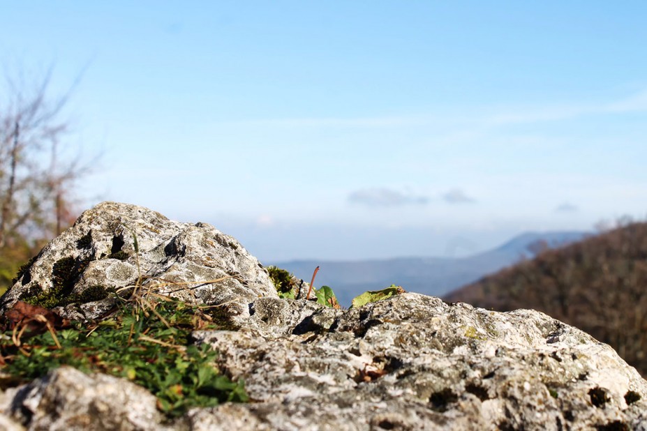 6.jpg (555.79 KiB) 6860 mal betrachtet 6.jpg