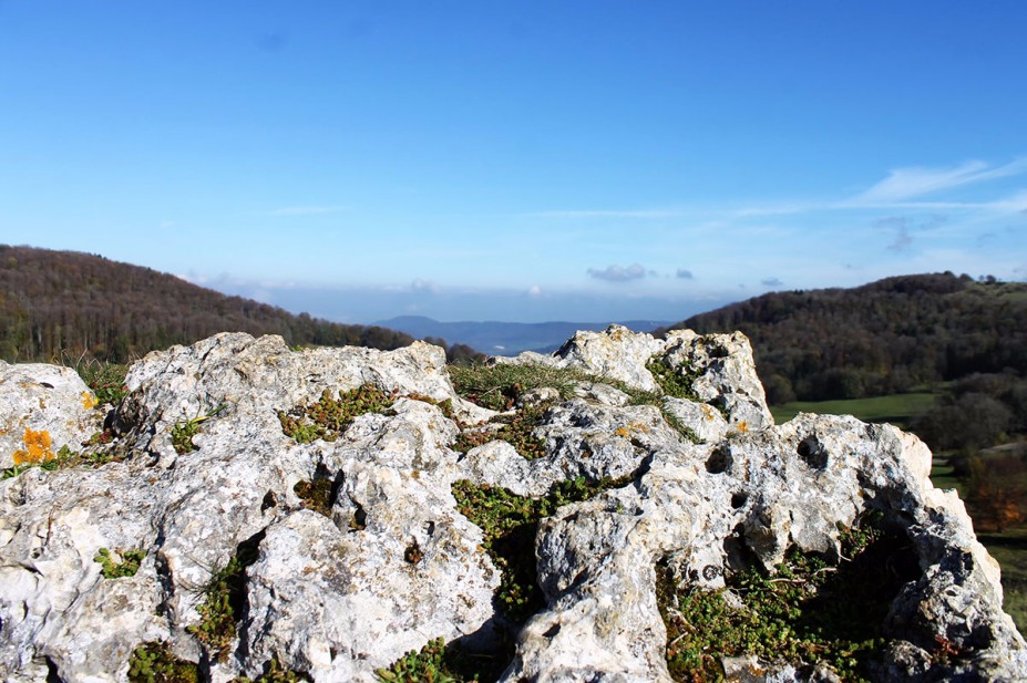 7.jpg (799.17 KiB) 6858 mal betrachtet 7.jpg