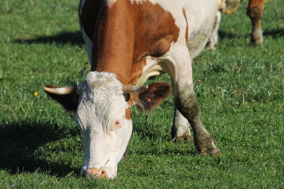 9.jpg (812.61 KiB) 6860 mal betrachtet 9.jpg