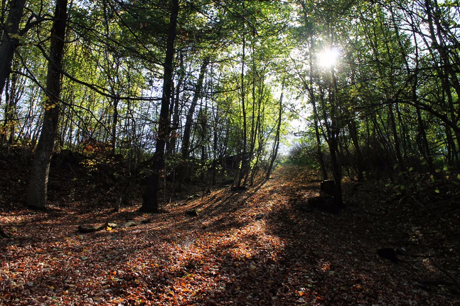 11.jpg (1.38 MiB) 6858 mal betrachtet 11.jpg