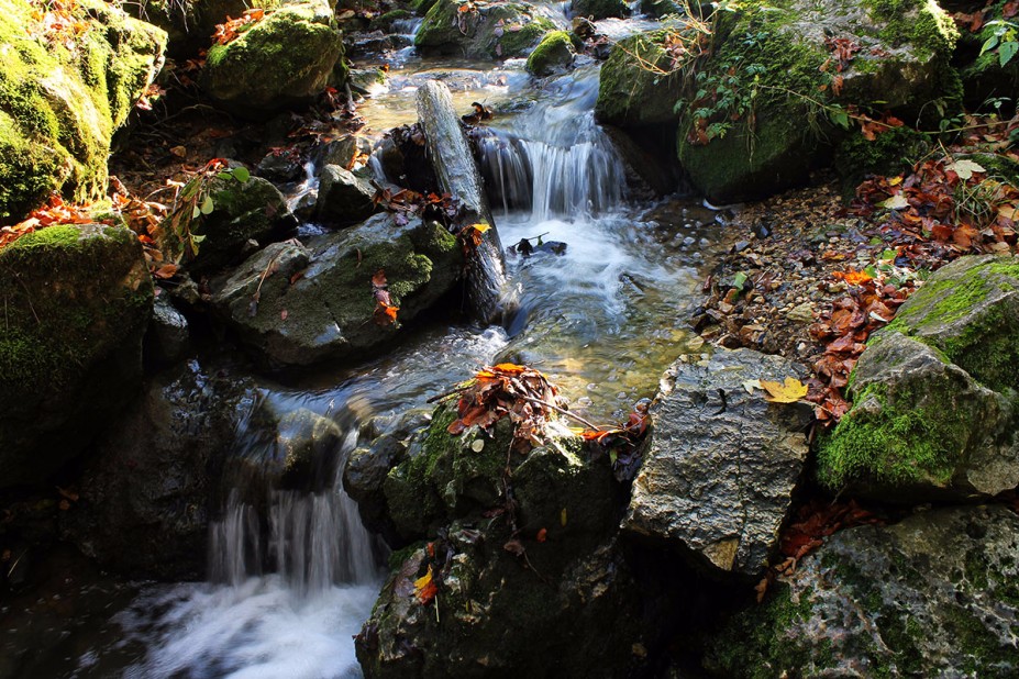 12.jpg (1.09 MiB) 6860 mal betrachtet 12.jpg