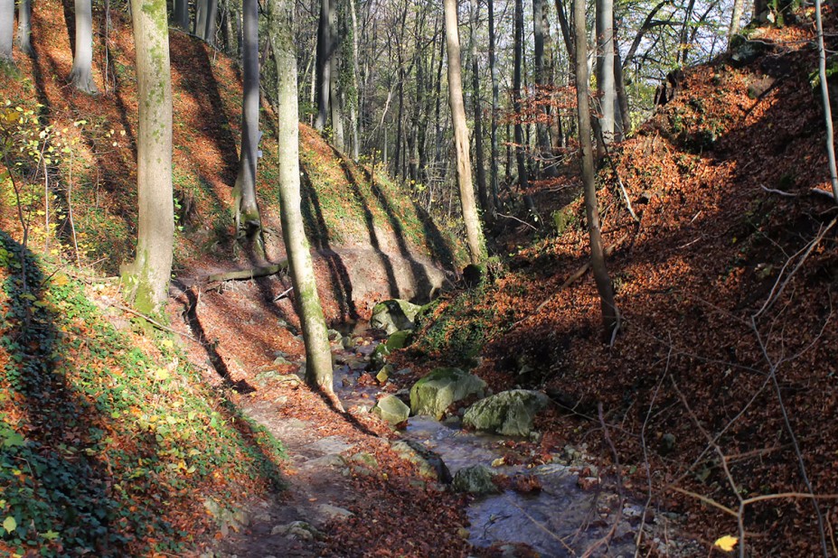 18.jpg (1.2 MiB) 6858 mal betrachtet 18.jpg