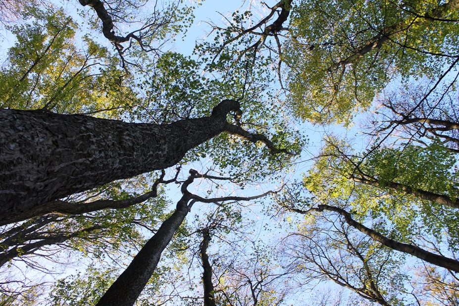 21.jpg (1.6 MiB) 6860 mal betrachtet 21.jpg