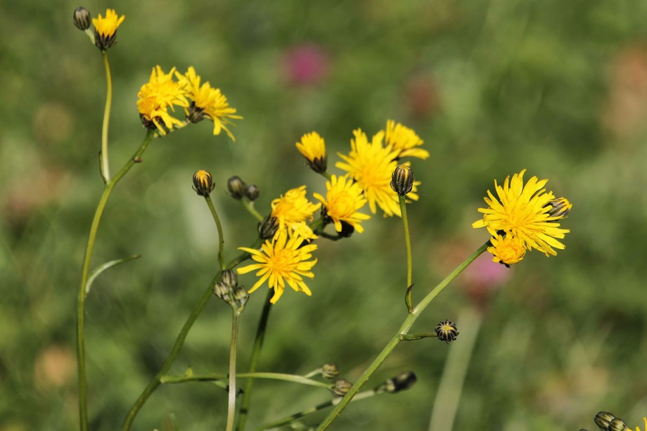 25.jpg (422.27 KiB) 6866 mal betrachtet 25.jpg