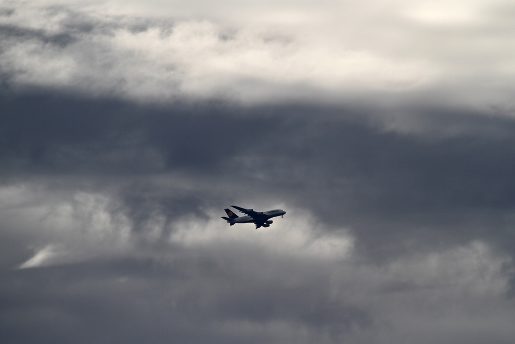 IMG_3345 lichter forum.jpg