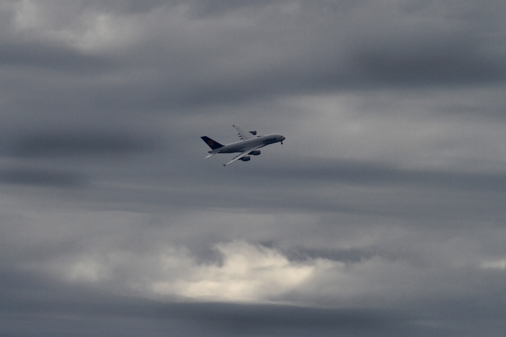 IMG_3341tonwert forum.jpg