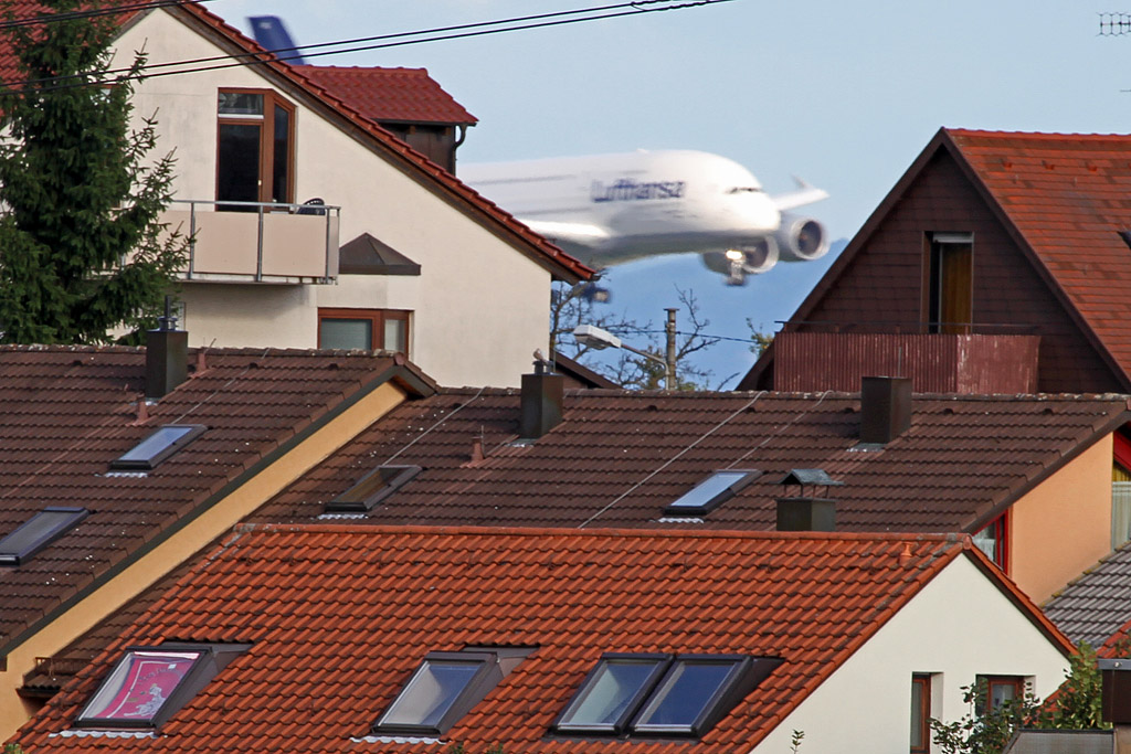 IMG_3444 lichter forum.jpg