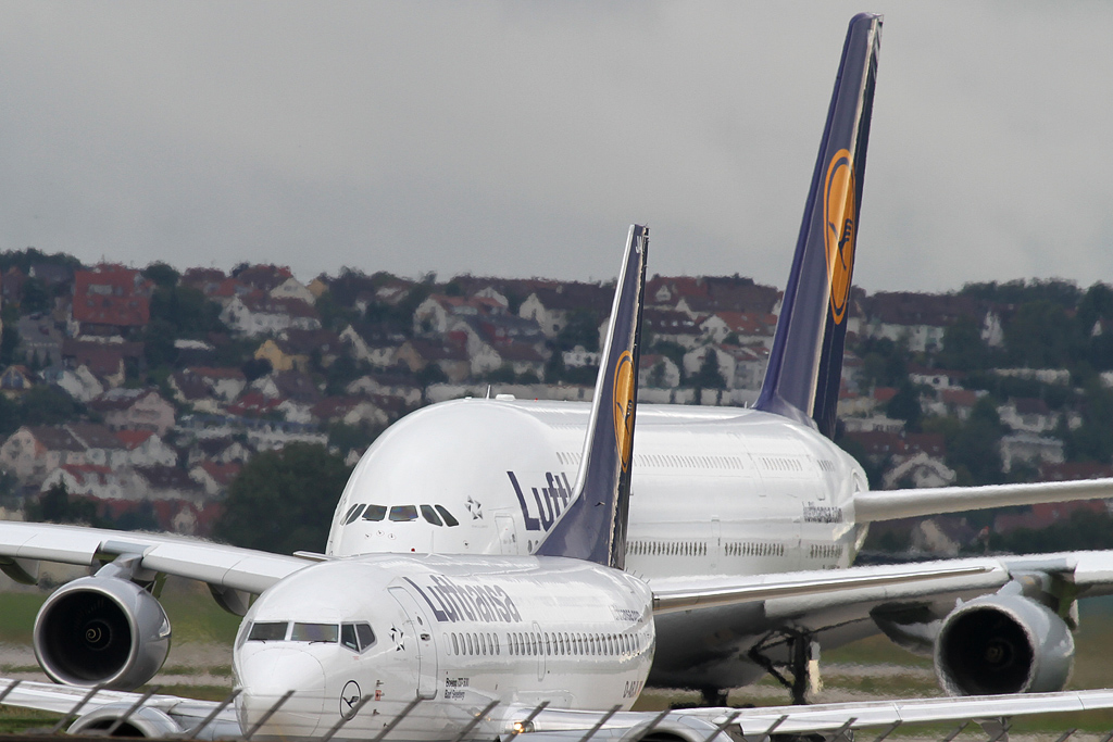 IMG_3643 detail forum.jpg