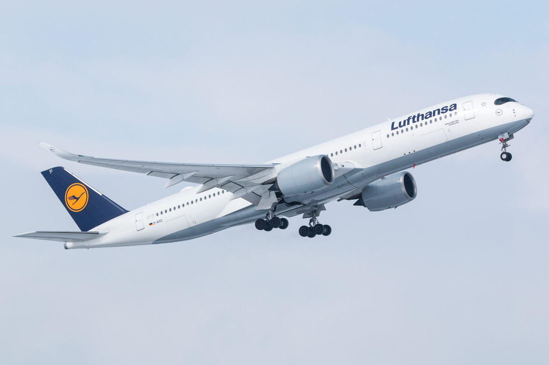IMG_6369.jpg