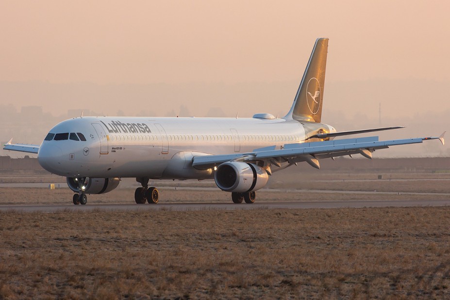 D-AISQ_1.jpg