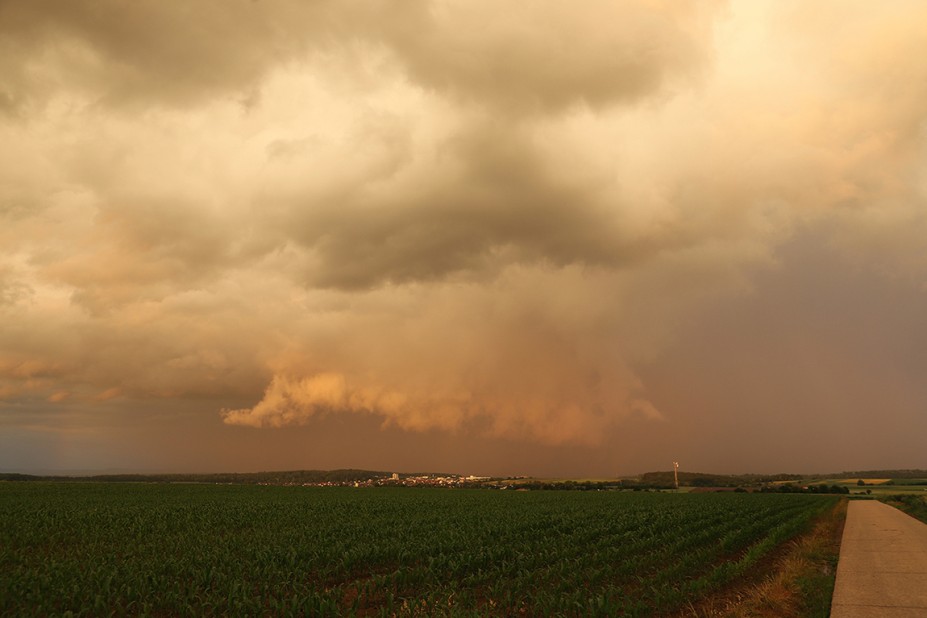 IMG_8349.JPG (604.39 KiB) 9085 mal betrachtet IMG_8349.JPG