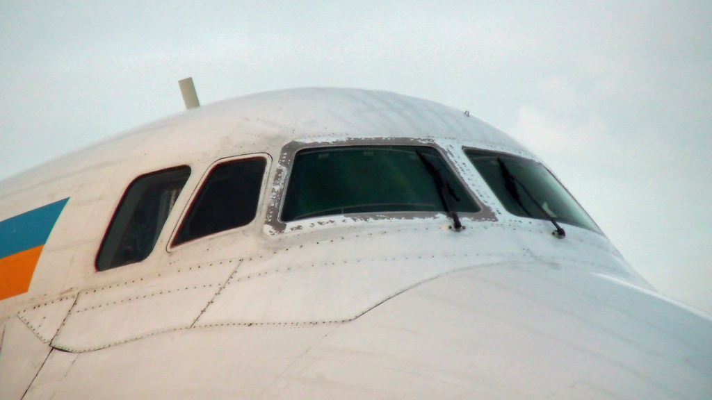 SAM_0107bearb350.jpg