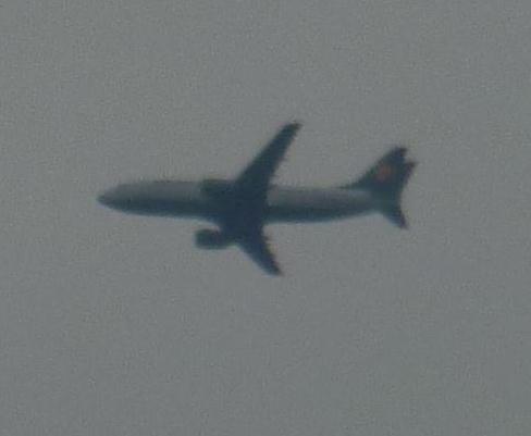 Boeing 737-300 Lufthansa<br /><br />Leider habe ich es von meinem Balkon aus gemacht und nicht vom Flughafen