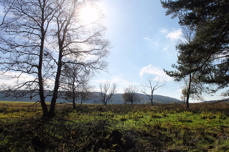 2.jpg (1.09 MiB) 6861 mal betrachtet 2.jpg